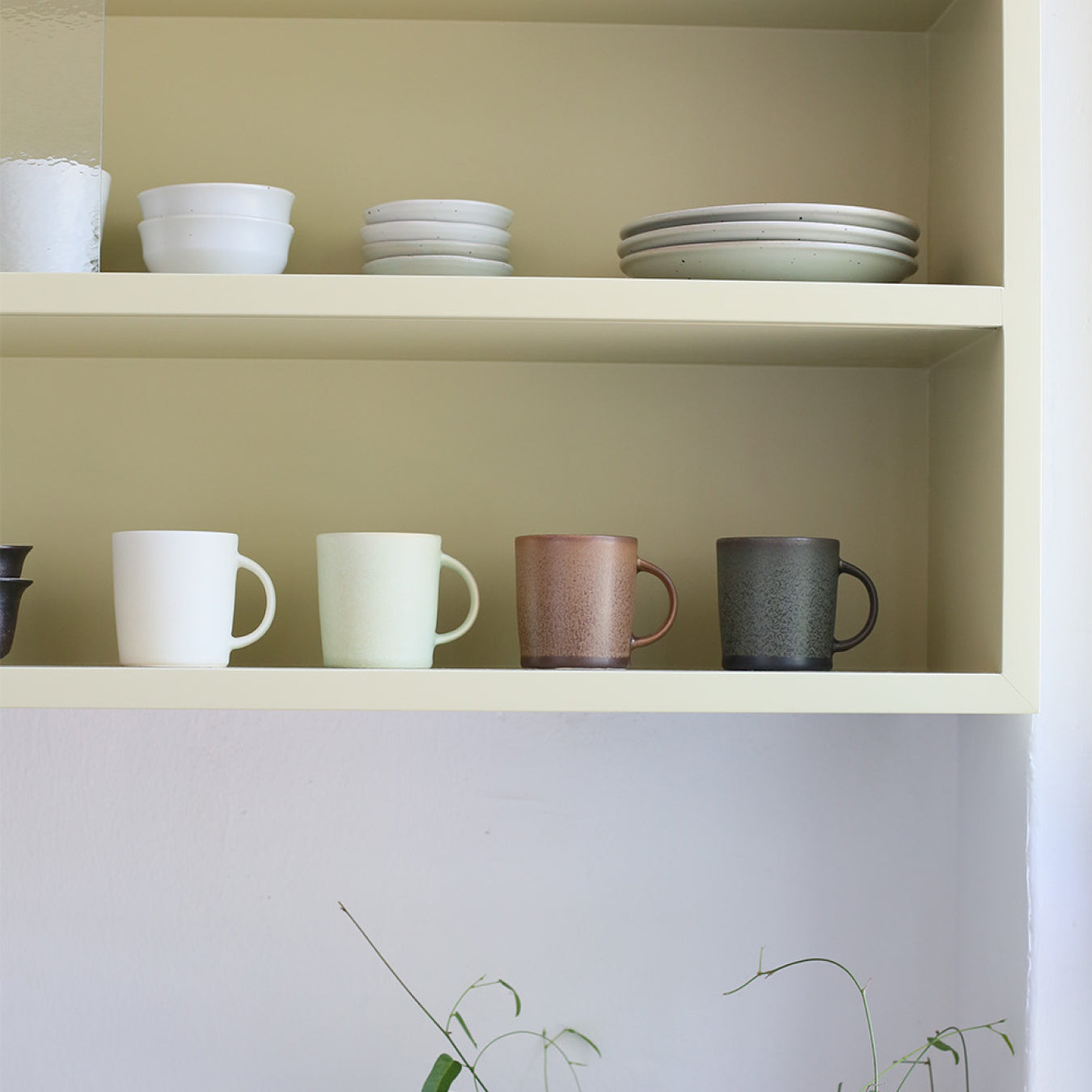 Tazza Sum