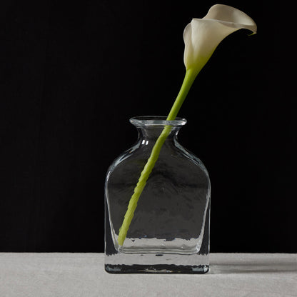 Vaso di vetro (L)