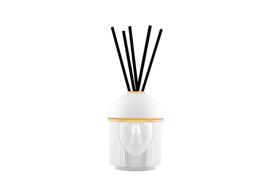Ricarica per diffusore per ambienti LCDC Black Stone