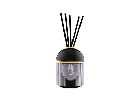 Ricarica per diffusore ambientale LCDC Purple Hill