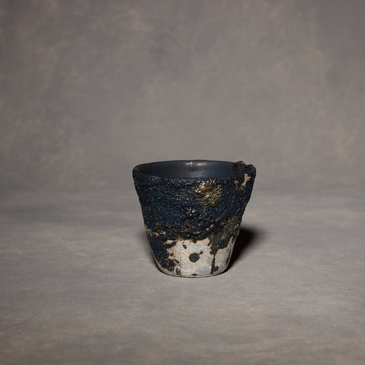 Yuko Ikeda Black &amp; White Free Cup 01