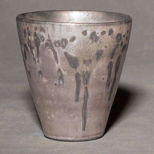 Coppa d'argento platino Yuko Ikeda 01